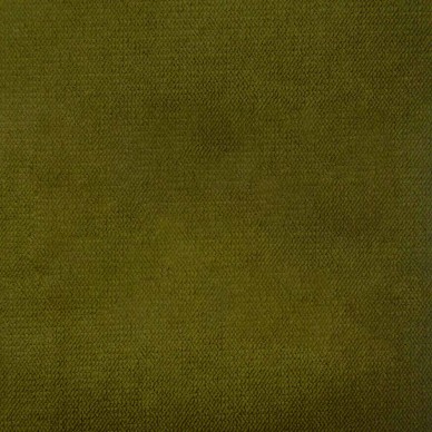 Malta Grass Deluxe Velvet Upholstery Fabric