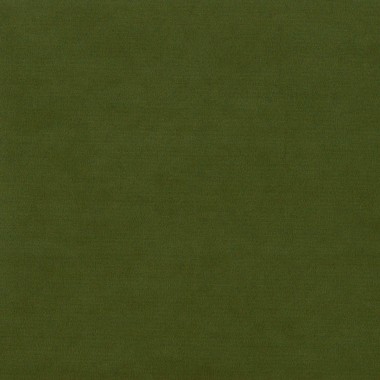 Sapore Bonsai Moleskin Suede Velvet Upholstery Fabric - SAP3762