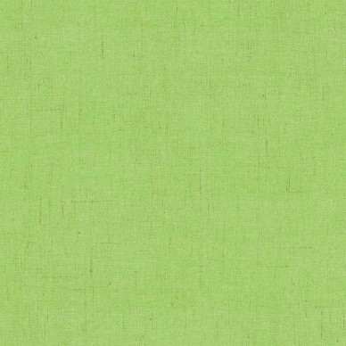 Giardino Lime Palais Weave Fabric - GIA4277 | Beaumont Fabrics