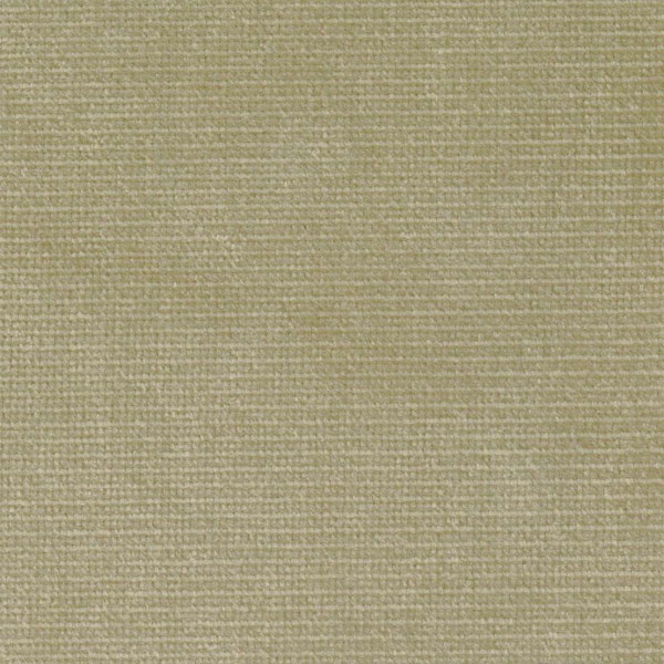 Giardino Orange Hummingbird Garden Upholstery Fabric - GIA4248 | Beaumont Fabrics