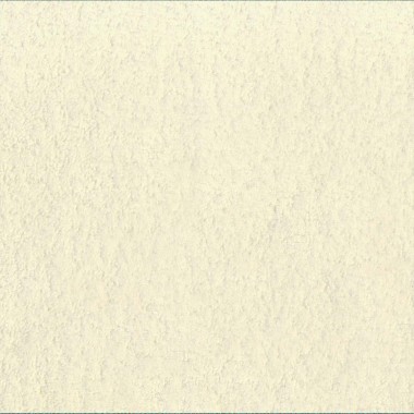 Giardino Orange Hummingbird Garden Upholstery Fabric - GIA4248 | Beaumont Fabrics