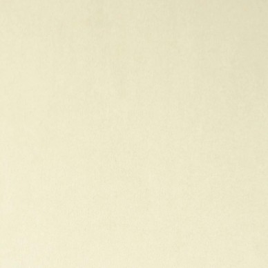 Passione Ivory Serene Fabric - PAS2706 | Beaumont Fabrics