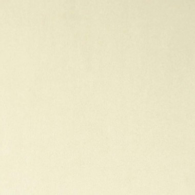 Passione Ivory Serene Fabric - PAS2706 | Beaumont Fabrics