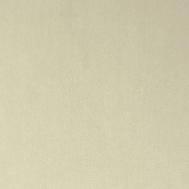 Passione Latte Serene Fabric - PAS2707 | Beaumont Fabrics
