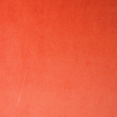 Giardino Orange Hummingbird Garden Upholstery Fabric - GIA4248 | Beaumont Fabrics