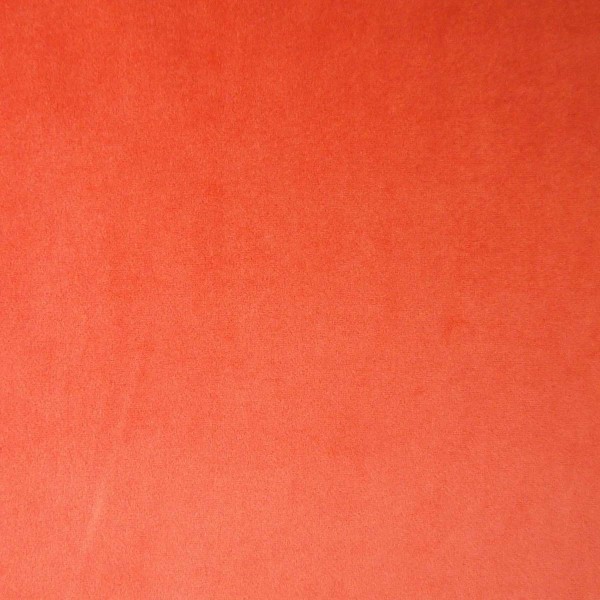 Giardino Orange Hummingbird Garden Upholstery Fabric - GIA4248 | Beaumont Fabrics