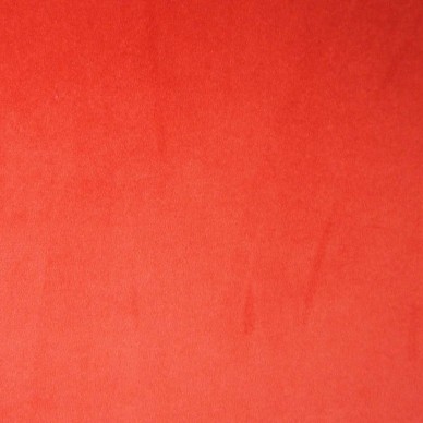 Giardino Orange Hummingbird Garden Upholstery Fabric - GIA4248 | Beaumont Fabrics