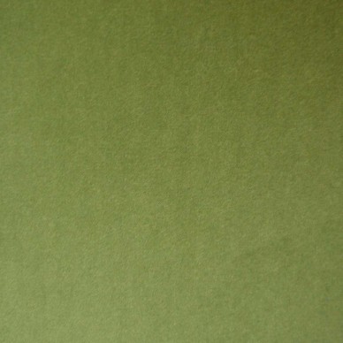 Passione Olive Serene Fabric - PAS2715 | Beaumont Fabrics