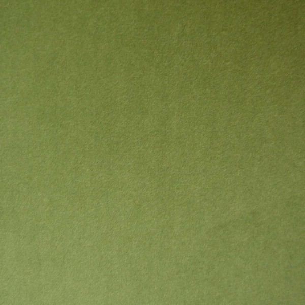 Passione Olive Serene Fabric - PAS2715 | Beaumont Fabrics