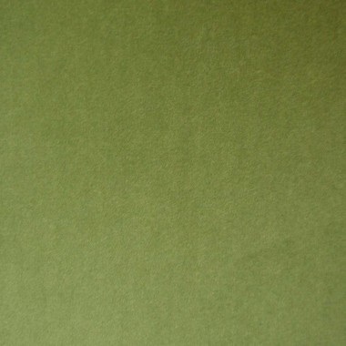 Passione Olive Serene Fabric - PAS2715 | Beaumont Fabrics