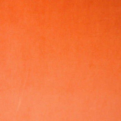 Passione Pumpkin Serene Fabric - PAS2854 | Beaumont Fabrics