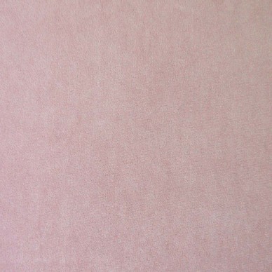 Giardino Orange Hummingbird Garden Upholstery Fabric - GIA4248 | Beaumont Fabrics