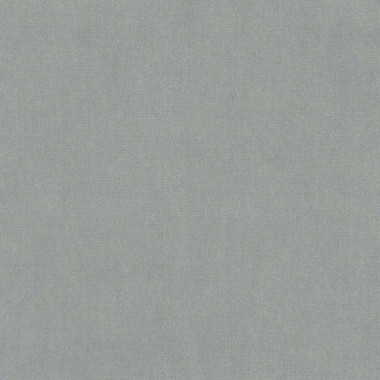 Passione Slate Serene Fabric - PAS2730 | Beaumont Fabrics