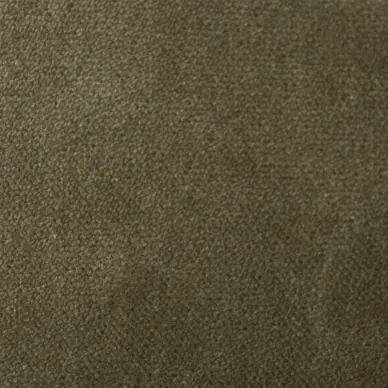 AquaVelvet Sage Velvet Fabric - SR19250