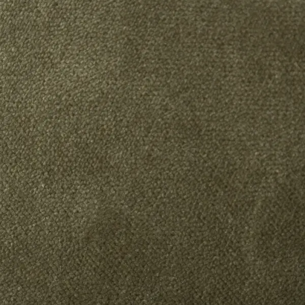 AquaVelvet Sage Velvet Fabric - SR19250