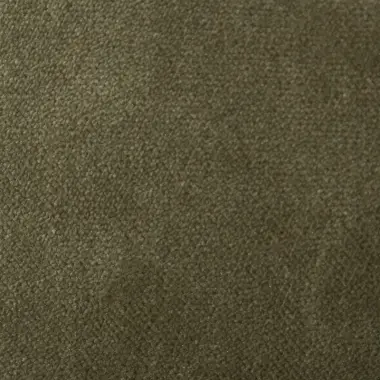 AquaVelvet Sage Velvet Fabric - SR19250
