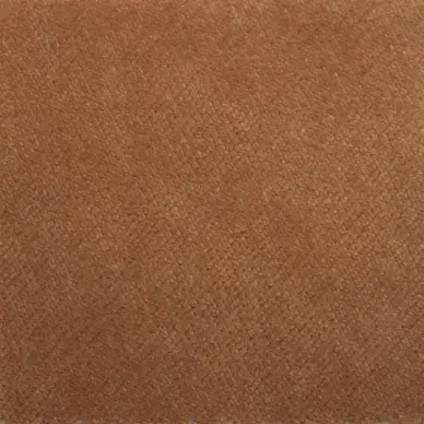 AquaVelvet Cinnamon Velvet Fabric - SR19254