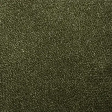 AquaVelvet Moss Velvet Fabric - SR19255