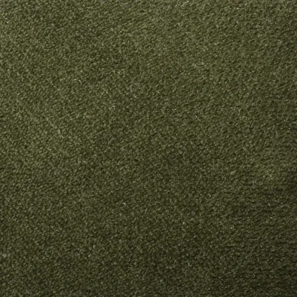 AquaVelvet Moss Velvet Fabric - SR19255