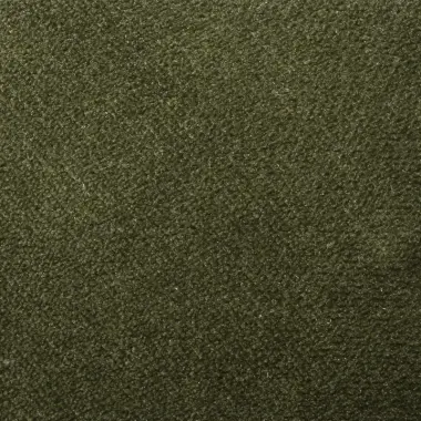 AquaVelvet Moss Velvet Fabric - SR19255