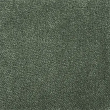 AquaVelvet Pine Velvet Fabric - SR19258