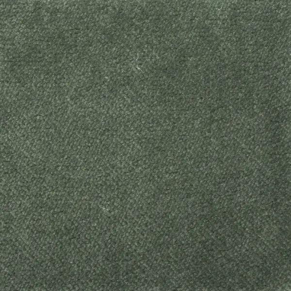 AquaVelvet Pine Velvet Fabric - SR19258