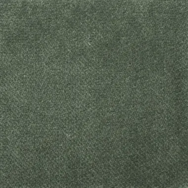 AquaVelvet Pine Velvet Fabric - SR19258